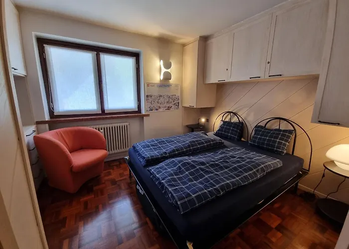 Arnica * קאנזיי